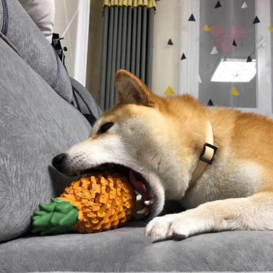 Funny Fruits Shape Dog Toy Pet Teeth Clean Molar Teeth Chew Bite Pet Toys Pets Products Gift-1